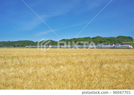 Go Shirasagi Mugiaki Go Shirasagi Mugiaki 90087701