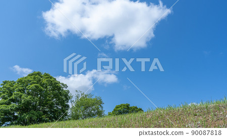 Sunny sky blue sky Sunny sky blue sky 90087818