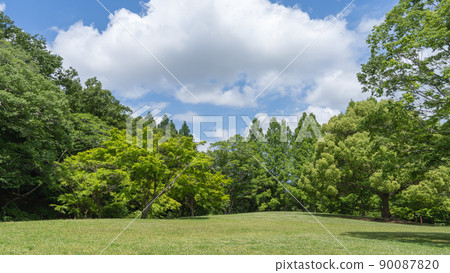 Park on a sunny day|Izumiya Park, Chiba City, Chiba Prefecture Park on a sunny day|Izumiya Park, Chiba City, Chiba Prefecture 90087820