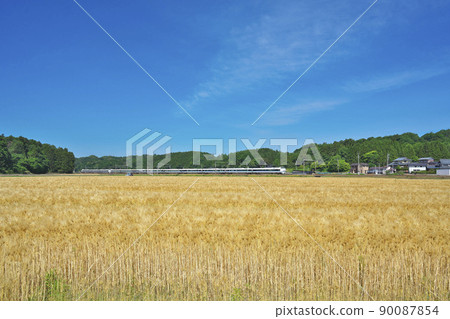 Go Thunderbird Wheat Autumn Go Thunderbird Wheat Autumn 90087854