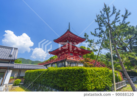 京都初夏/新鮮的綠色季節 Daikakuji Shingyo-Hoto 京都初夏/新鮮的綠色季節 Daikakuji Shingyo-Hoto 90088120