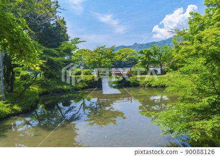 大澤池上的大覺寺紅橋(初夏/新綠季節) 大澤池上的大覺寺紅橋(初夏/新綠季節) 90088126