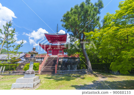 京都初夏/新鮮的綠色季節 Daikakuji Shingyo-Hoto 京都初夏/新鮮的綠色季節 Daikakuji Shingyo-Hoto 90088133