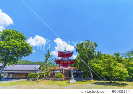 京都初夏/新鮮的綠色季節 Daikakuji Shingyo-Hoto 京都初夏/新鮮的綠色季節 Daikakuji Shingyo-Hoto 90088134