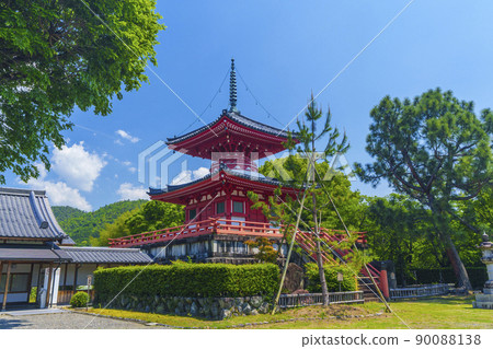 京都初夏/新鮮的綠色季節 Daikakuji Shingyo-Hoto 京都初夏/新鮮的綠色季節 Daikakuji Shingyo-Hoto 90088138