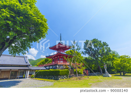 京都初夏/新鮮的綠色季節 Daikakuji Shingyo-Hoto 京都初夏/新鮮的綠色季節 Daikakuji Shingyo-Hoto 90088140