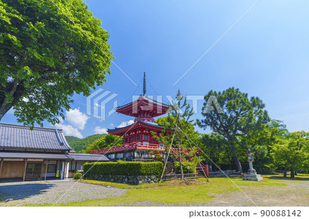 京都初夏/新鮮的綠色季節 Daikakuji Shingyo-Hoto 京都初夏/新鮮的綠色季節 Daikakuji Shingyo-Hoto 90088142