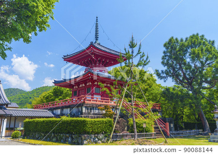 京都初夏/新鮮的綠色季節 Daikakuji Shingyo-Hoto 京都初夏/新鮮的綠色季節 Daikakuji Shingyo-Hoto 90088144