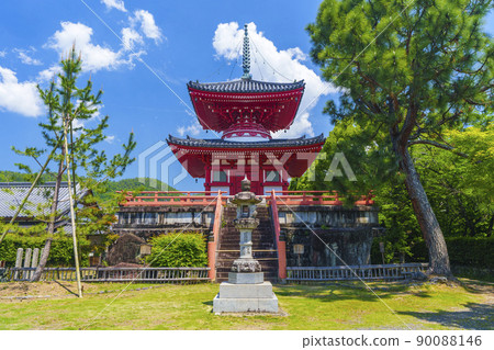 京都初夏/新鮮的綠色季節 Daikakuji Shingyo-Hoto 京都初夏/新鮮的綠色季節 Daikakuji Shingyo-Hoto 90088146