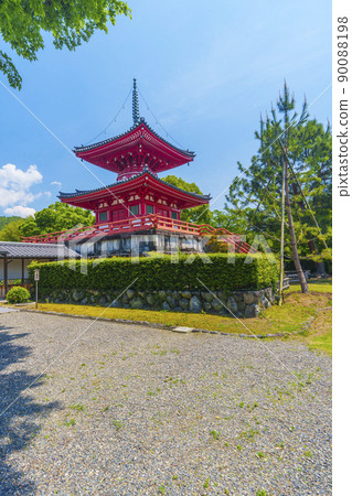 Kyoto early summer / fresh green season Daikakuji Shingyo-Hoto Kyoto early summer / fresh green season Daikakuji Shingyo-Hoto 90088198