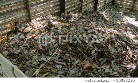 Deciduous leaves collected Deciduous leaves collected 90088250