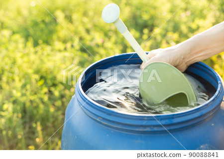 Put rainwater in the watering can 90088841