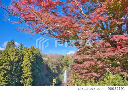 Shiraito no Taki秋葉 Shiraito no Taki秋葉 90089191
