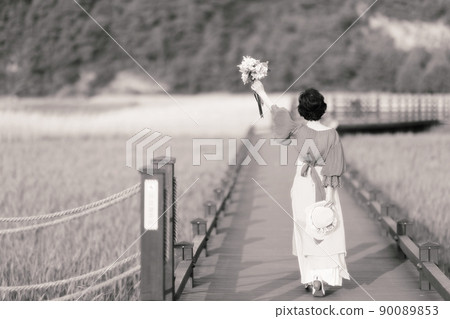 旅遊、蘆葦田風光、順天灣濕地 90089853