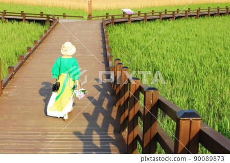 旅遊、蘆葦田風光、順天灣濕地 90089873