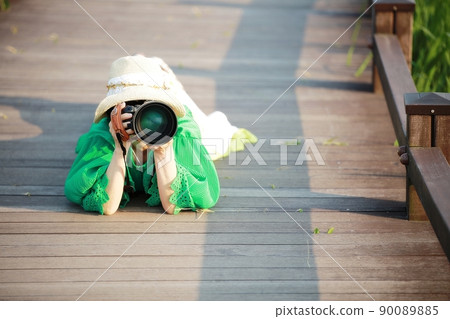 Travel, reed field scenery, Suncheon Bay Wetland 90089885