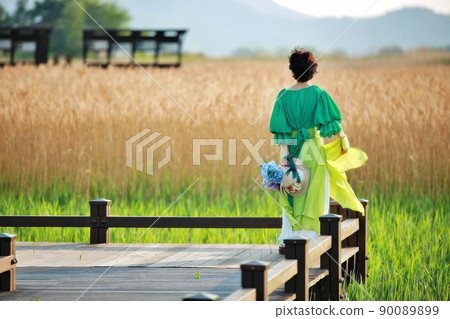 旅遊、蘆葦田風光、順天灣濕地 旅遊、蘆葦田風光、順天灣濕地 90089899