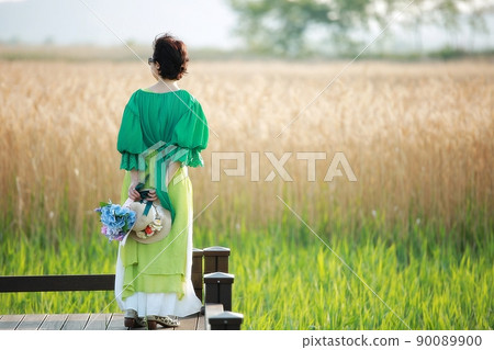 Travel, reed field scenery, Suncheon Bay Wetland 90089900