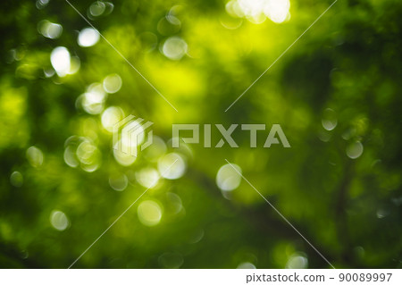 Fresh green leaves background material Fresh green leaves background material 90089997