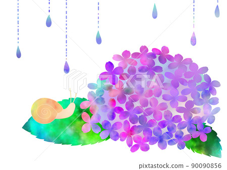Snails and hydrangeas in the rainy season 90090856