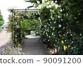 A rose garden 90091200