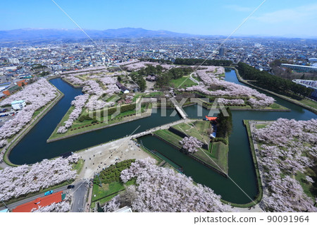 Cherry blossoms in Goryokaku Park as seen from Goryokaku Tower 90091964