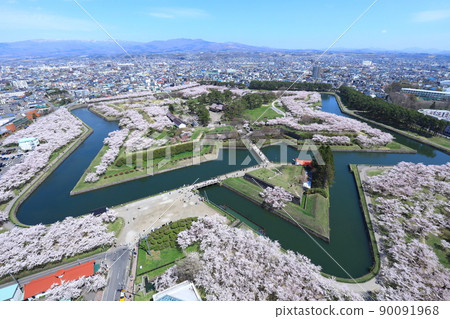 Cherry blossoms in Goryokaku Park as seen from Goryokaku Tower Cherry blossoms in Goryokaku Park as seen from Goryokaku Tower 90091968