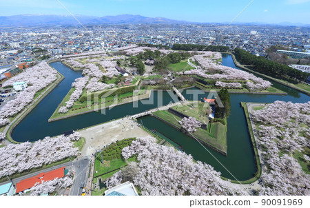 Cherry blossoms in Goryokaku Park as seen from Goryokaku Tower 90091969