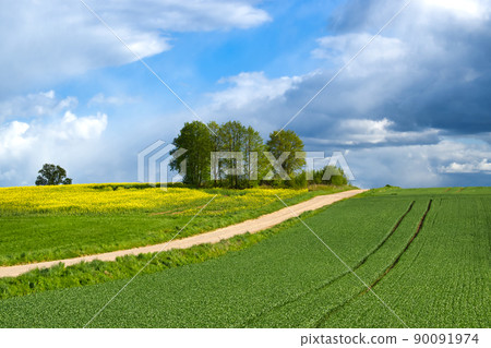 Country gravel road through farm fields and meadow 90091974