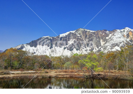 Akiyamago Tenike in early spring 90093939