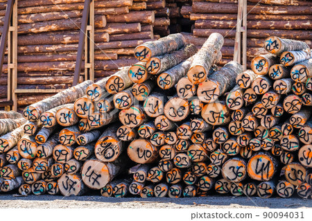 Timber export. Logs are stacked in the port, ready for loading on ships. Selective focus Timber export. Logs are stacked in the port, ready for loading on ships. Selective focus 90094031