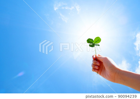 Four-leaf clover in the blue sky Four-leaf clover in the blue sky 90094239