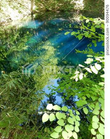 清新的綠色和藍色“Aoike”之間的鮮明對比 90094476