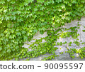 Ivy entwined stone wall natural wallpaper green background material 90095597