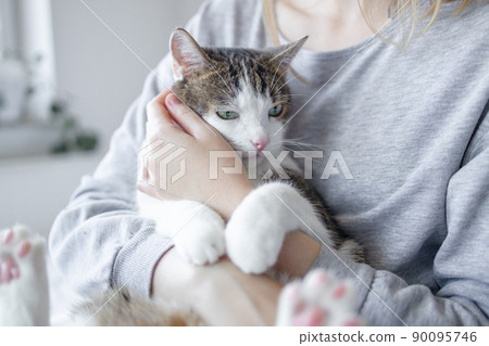 Unrecognizable caucasian woman hands with tabby cat on sofa at home. 90095746