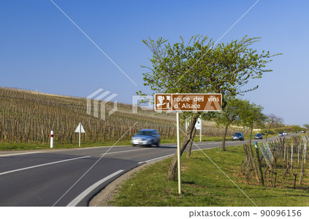 Wine road near Colmar, Alsace, France 90096156