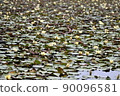Ike Lotus 90096581