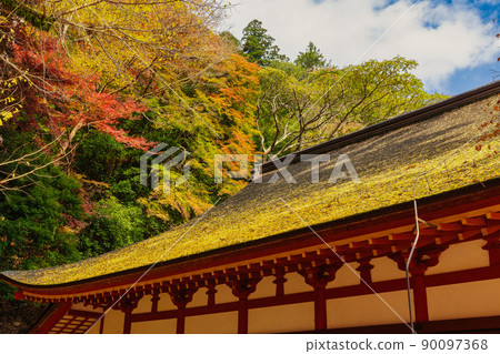 Autumn Tanzan Shrine (Tonomine, Sakurai City, Nara Prefecture) Autumn Tanzan Shrine (Tonomine, Sakurai City, Nara Prefecture) 90097368