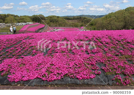 Shiba Zakura Park 90098359