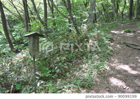 高畠山 90099199