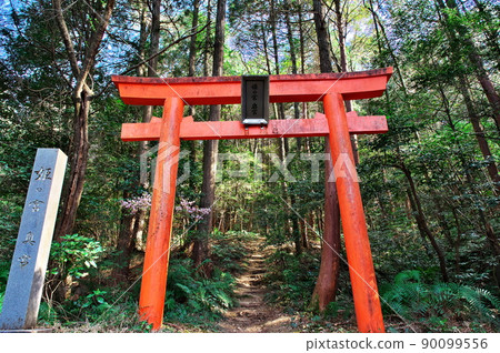 Himenomiya Okumiya Torii of Oagata Shrine: Inuyama City, Aichi Prefecture Himenomiya Okumiya Torii of Oagata Shrine: Inuyama City, Aichi Prefecture 90099556