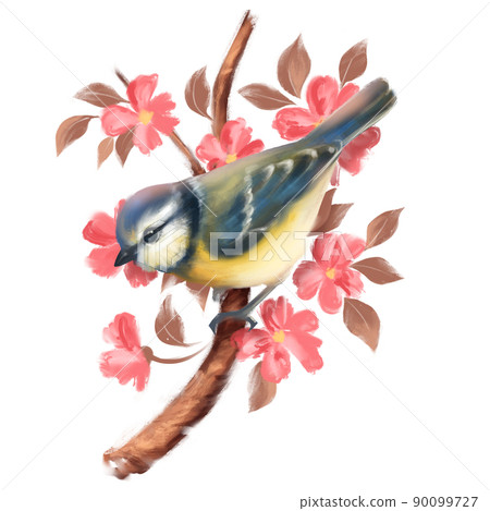 Titmouse bird on floral branch. Isolated on white. 90099727