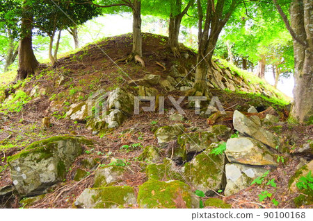 Wakakura Onigajo 90100168