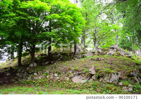 Wakakura Onigajo 90100171