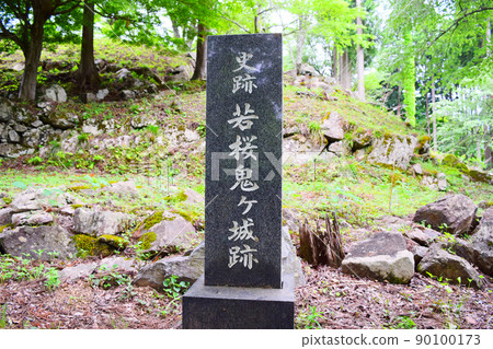 Wakakura Onigajo 90100173