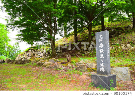 Wakakura Onigajo 90100174