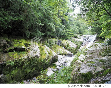 Scenery of Shiratani cloud sanctuary 90101252