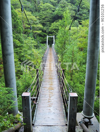 Scenery of Shiratani cloud sanctuary Scenery of Shiratani cloud sanctuary 90101256