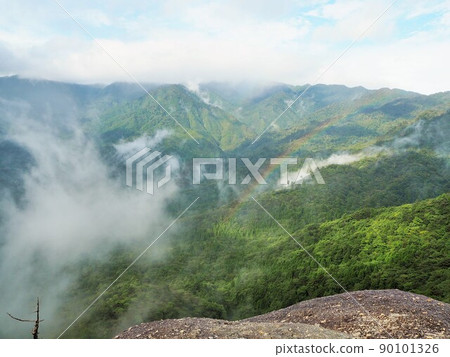 Shiratani雲彩聖所風景 90101326