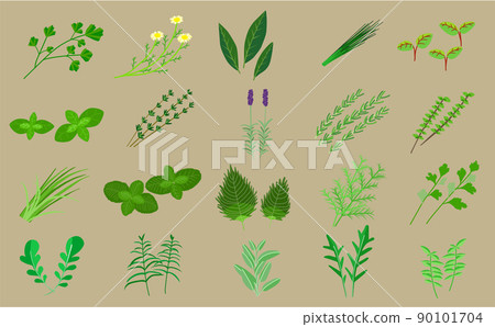 藥草集圖 90101704